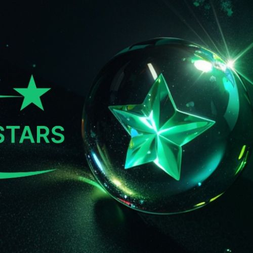 منتجات مصنع سلوتيب جرين ستارز - Green Stars